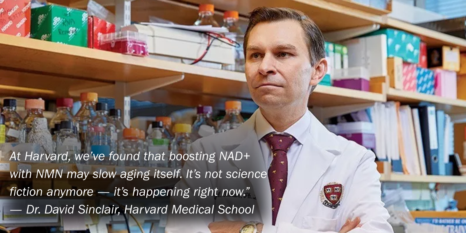 Dr. David Sinclair Harvard Medical School quote about NAD+ and NMN